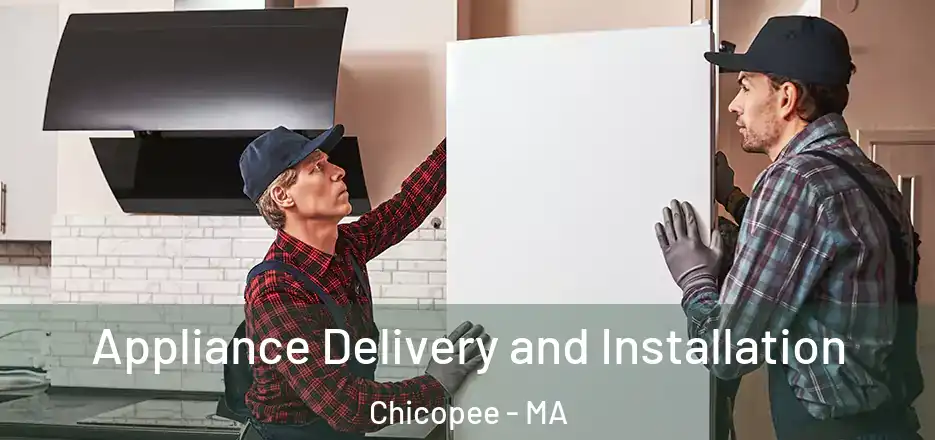  Appliance Delivery and Installation Chicopee - MA