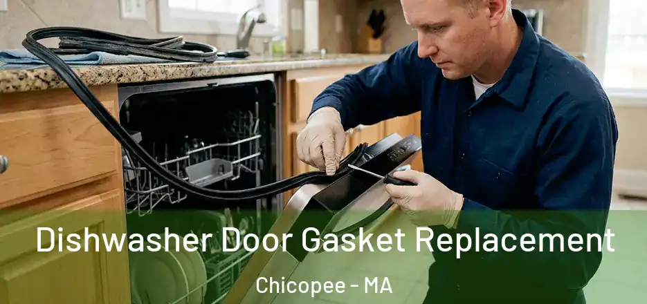  Dishwasher Door Gasket Replacement Chicopee - MA