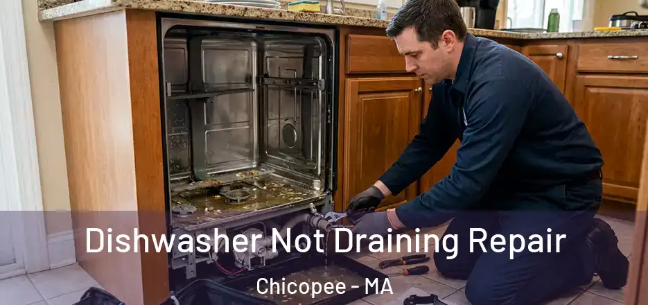  Dishwasher Not Draining Repair Chicopee - MA