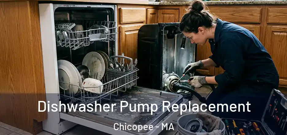  Dishwasher Pump Replacement Chicopee - MA