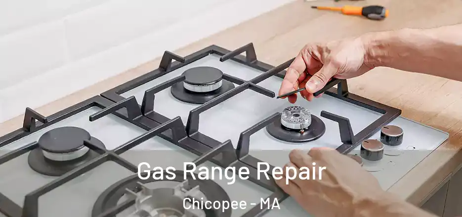  Gas Range Repair Chicopee - MA