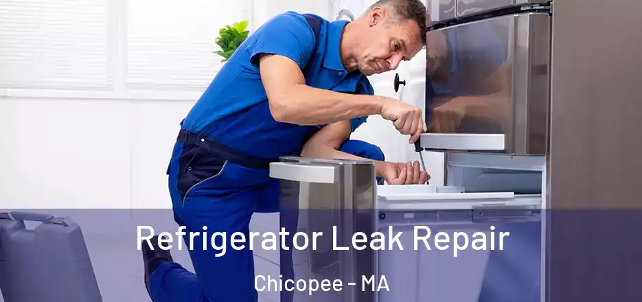 Refrigerator Leak Repair Chicopee - MA